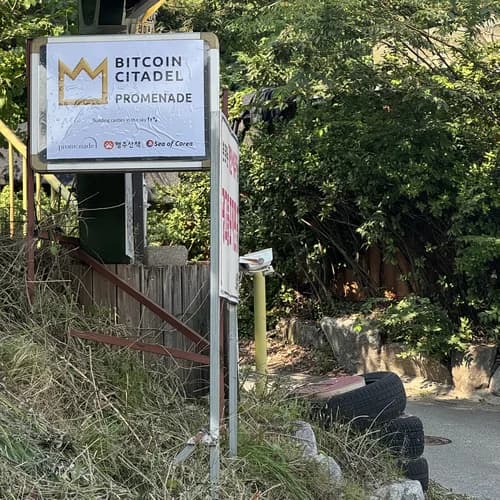 Sea of Corea 채굴조합 정기 밋업