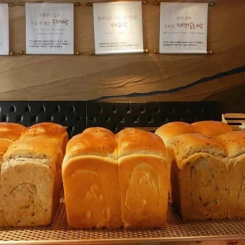 천연발효빵 식빵, 샤워도우, 치아바타, 깜빠뉴 2