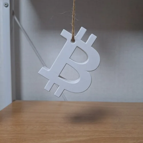 석고 비트코인(中) 1