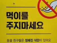 먹이를 주지마세요