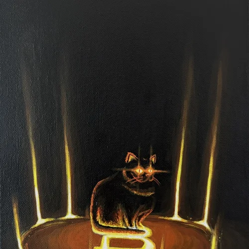 어둠 속 고양이 Cat in the dark