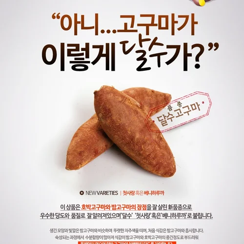 고구마(유기농으로 20만평 고구마농사짓는 선배님의 진심이 담긴 진짜 맛있는)