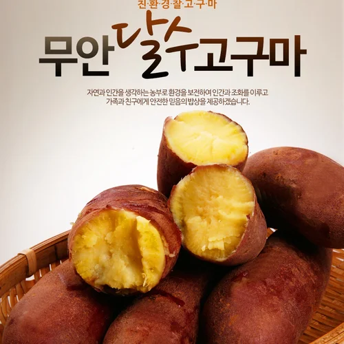 고구마(유기농으로 20만평 고구마농사짓는 선배님의 진심이 담긴 진짜 맛있는)