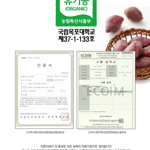 고구마(유기농으로 20만평 고구마농사짓는 선배님의 진심이 담긴 진짜 맛있는)