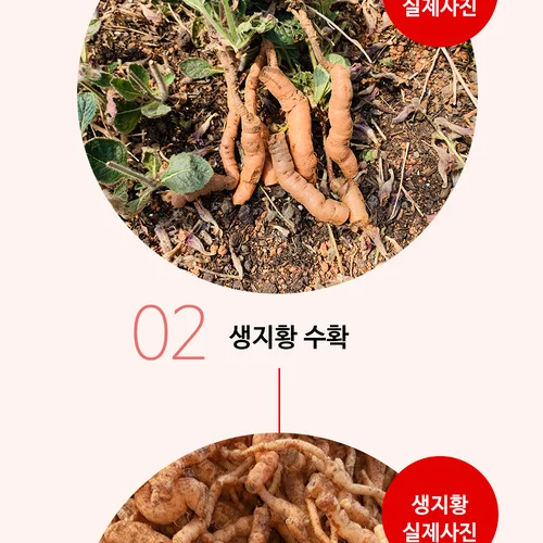 18가지 원물 그대로, 무설탕 옛날쌍화차 10봉+고명1봉