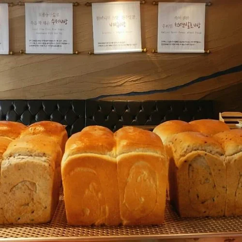 천연발효빵 식빵, 샤워도우, 치아바타, 깜빠뉴