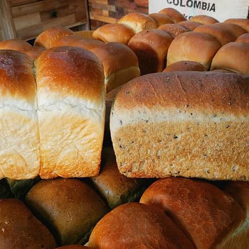 천연발효빵 식빵, 샤워도우, 치아바타, 깜빠뉴