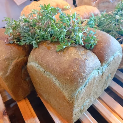 천연발효빵 식빵, 샤워도우, 치아바타, 깜빠뉴