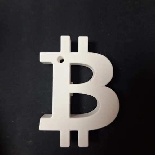 석고 비트코인(中)