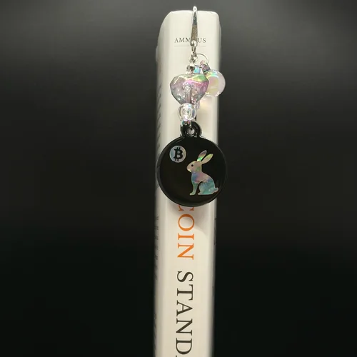 비트코인 달을 바라보는 토끼 북후크