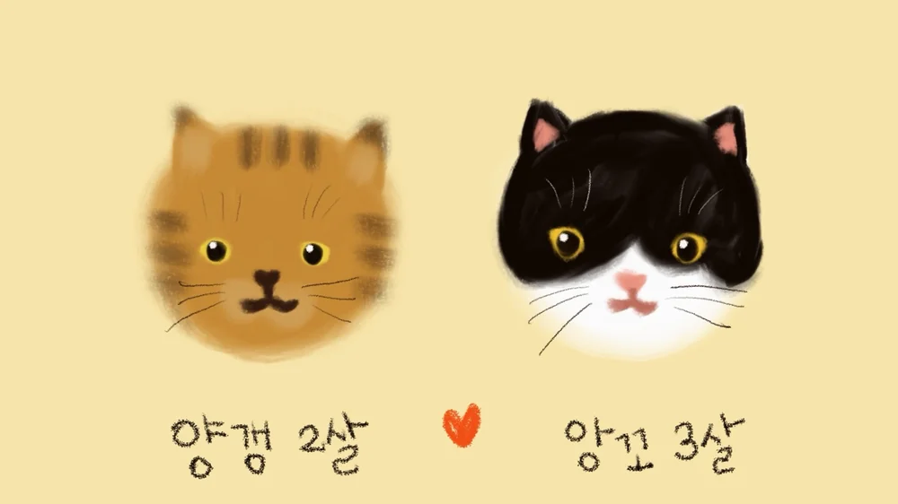 앙꼬의 비트꼬인내꼬